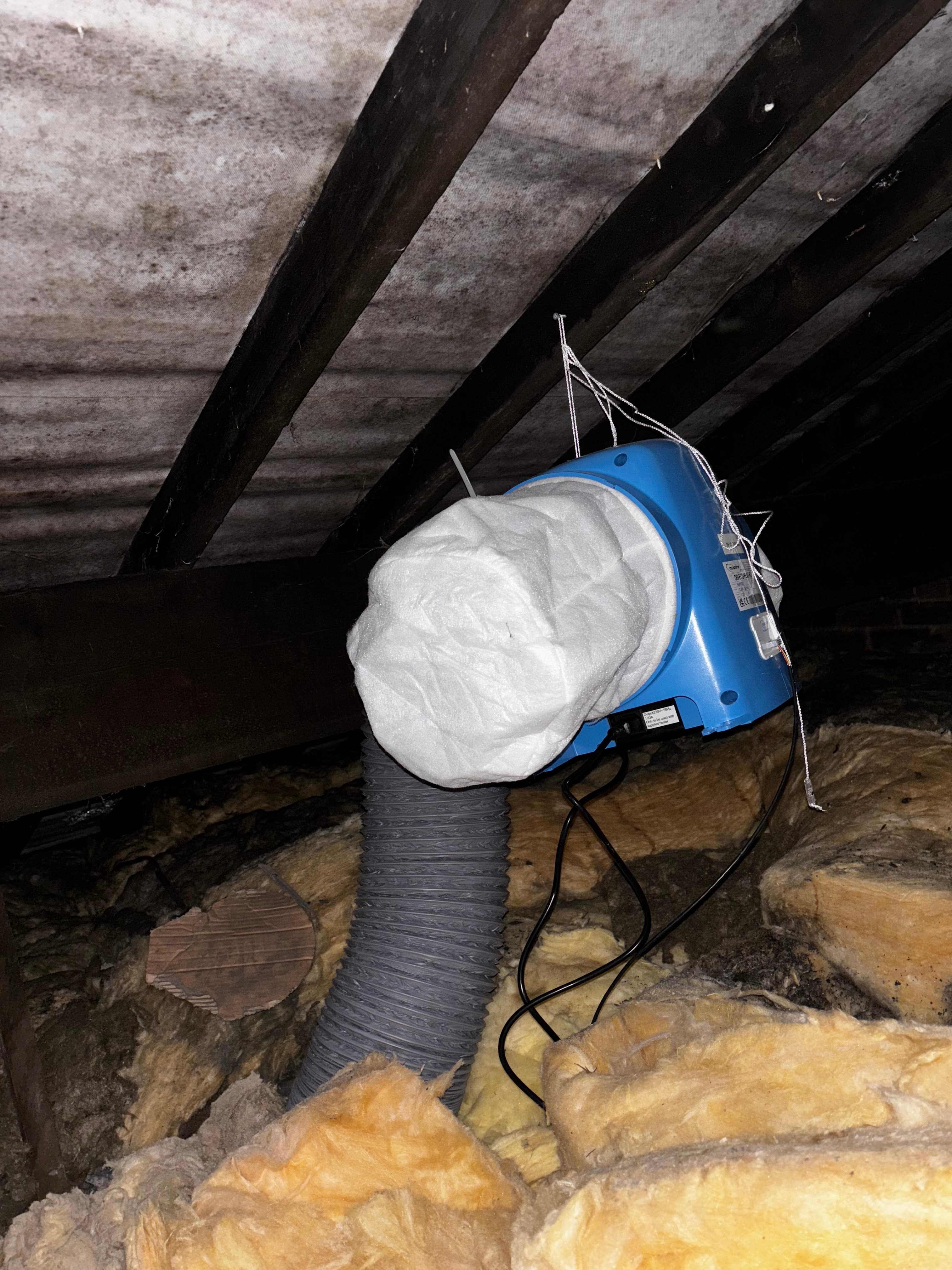 Ageing bathroom extractor and wiring investigated by CAN Electrical Contractors Limited during electrical repairs